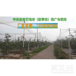【防草布作用、使用效果、山東塑料編織布廠家、白編織布價格】-